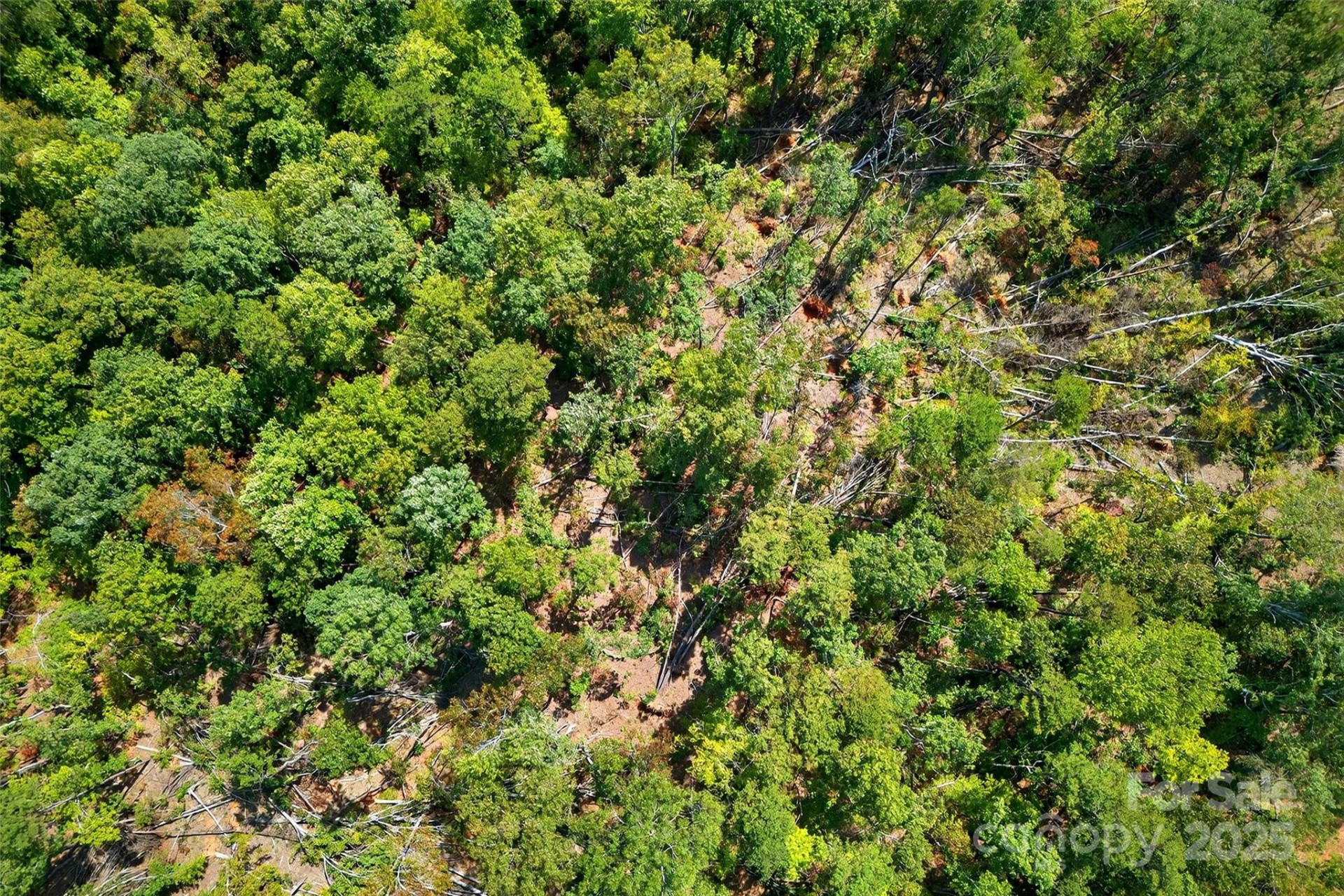 366 Boland Drive - Photo 27