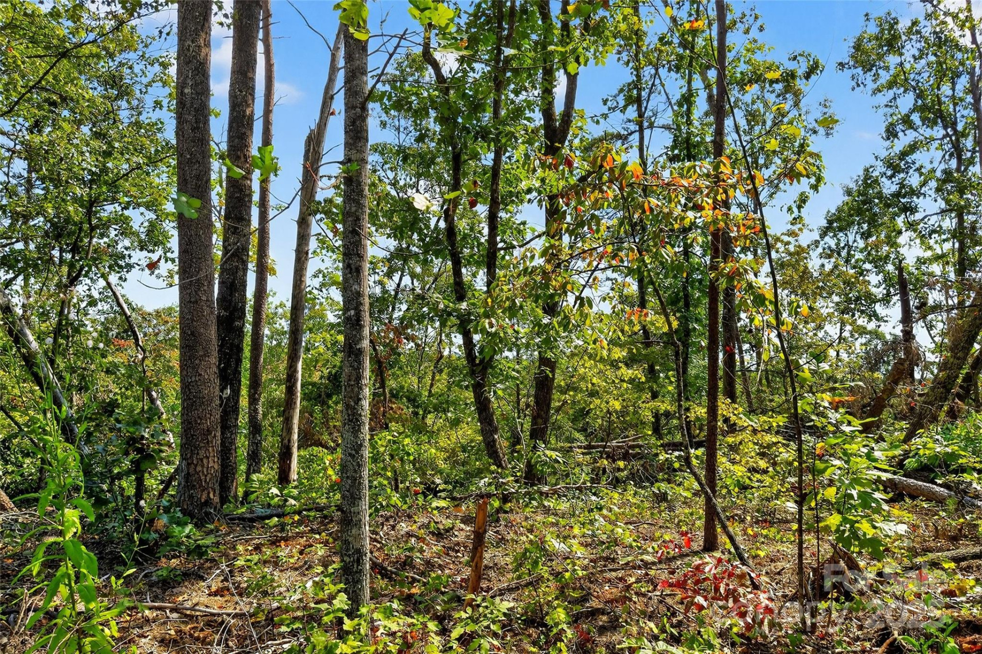 366 Boland Drive - Photo 4