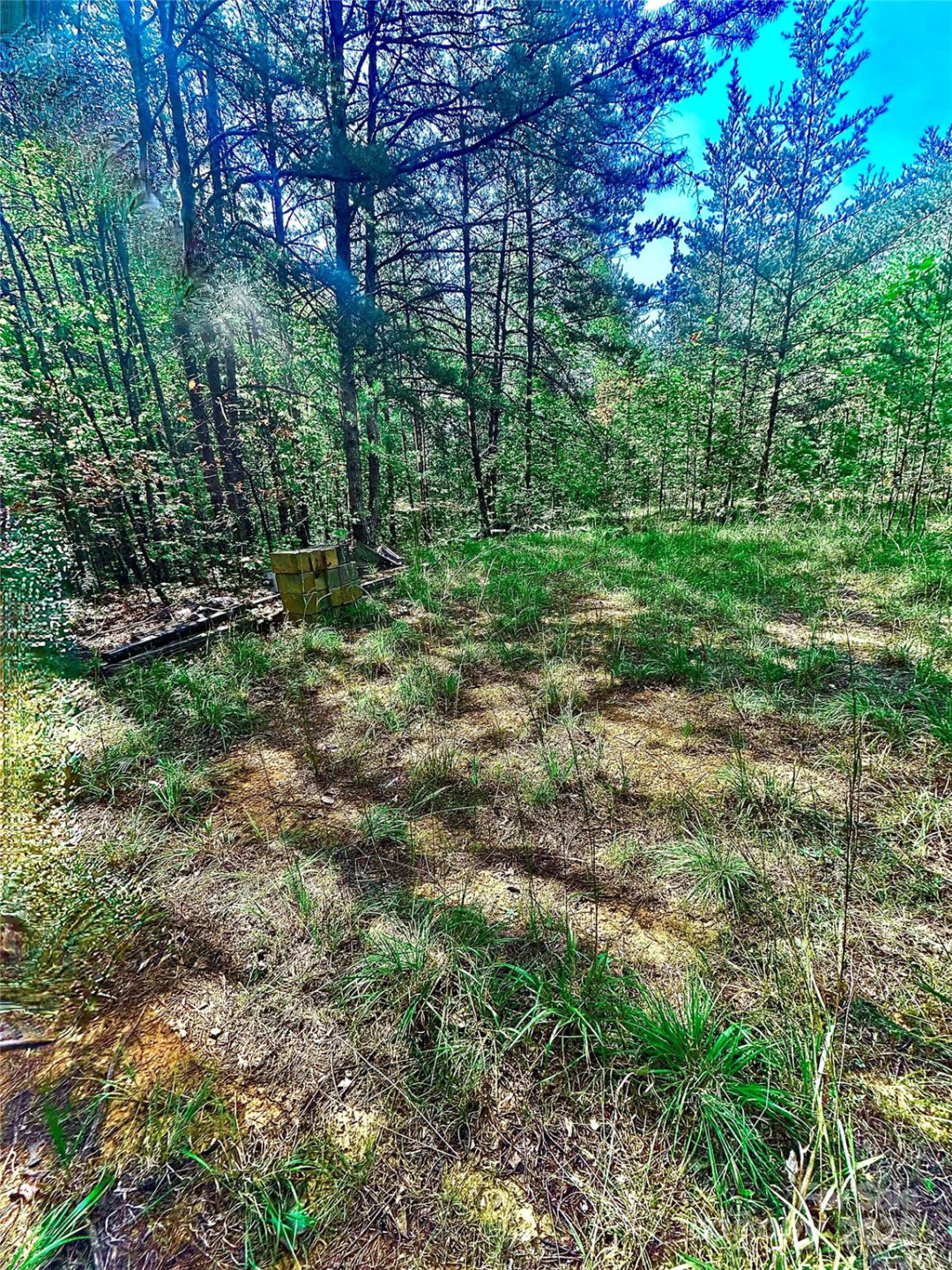 366 Boland Drive - Photo 34