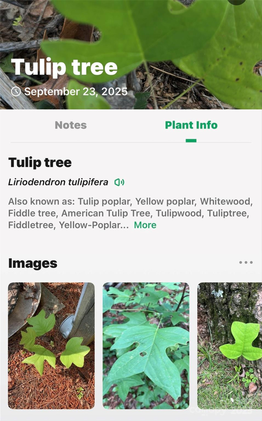 366 Boland Drive - Photo 37