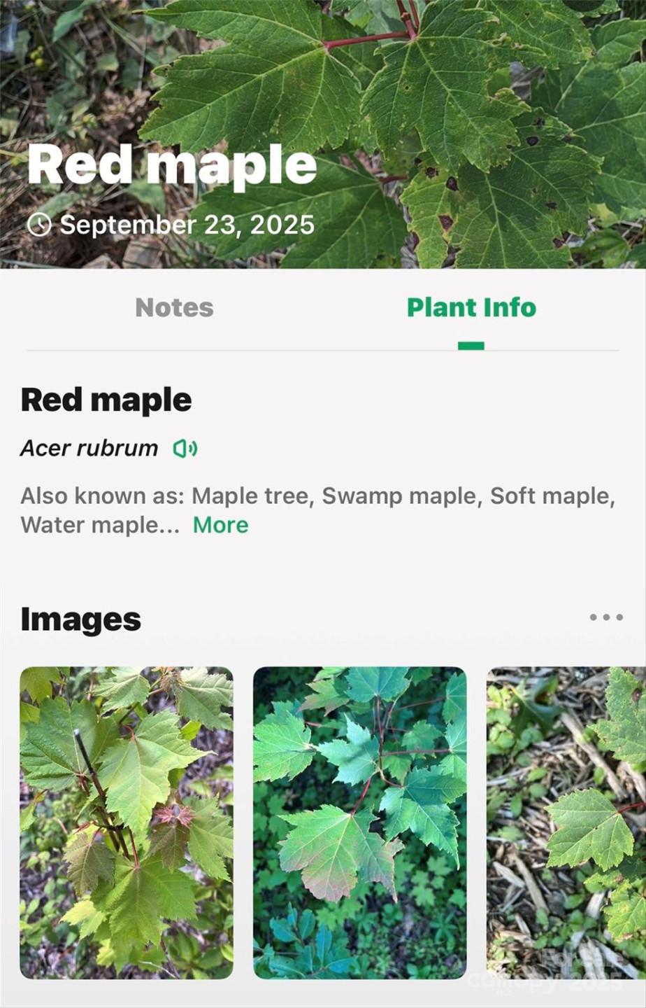 366 Boland Drive - Photo 38