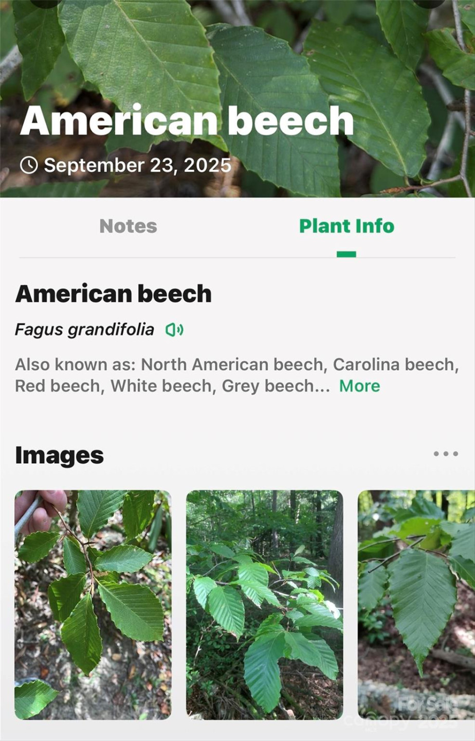 366 Boland Drive - Photo 40