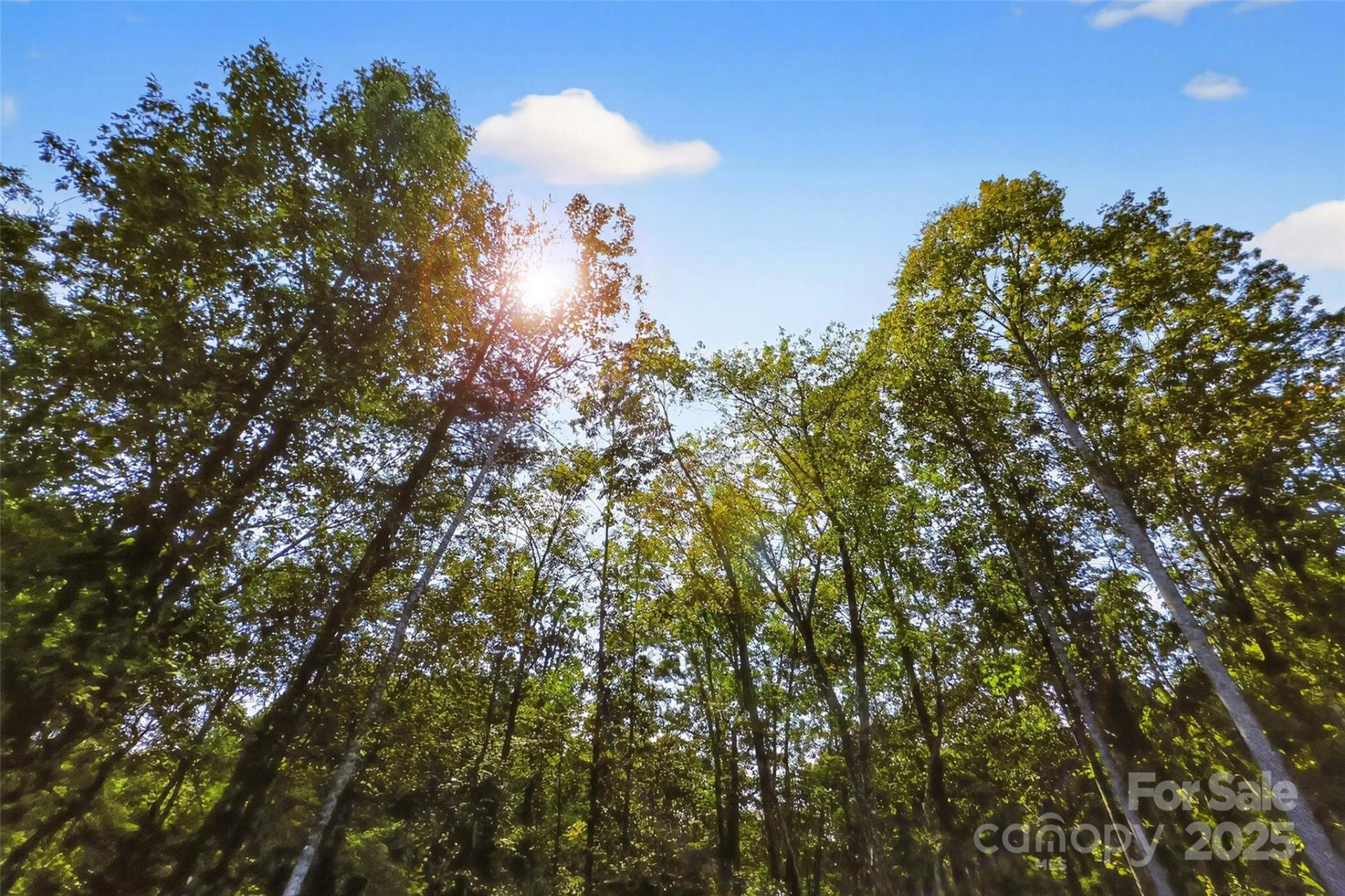 366 Boland Drive - Photo 5