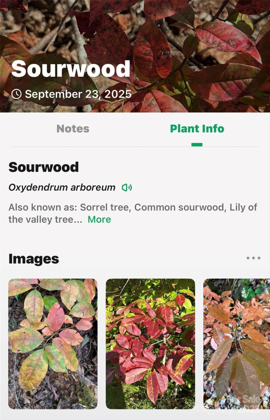 366 Boland Drive - Photo 41