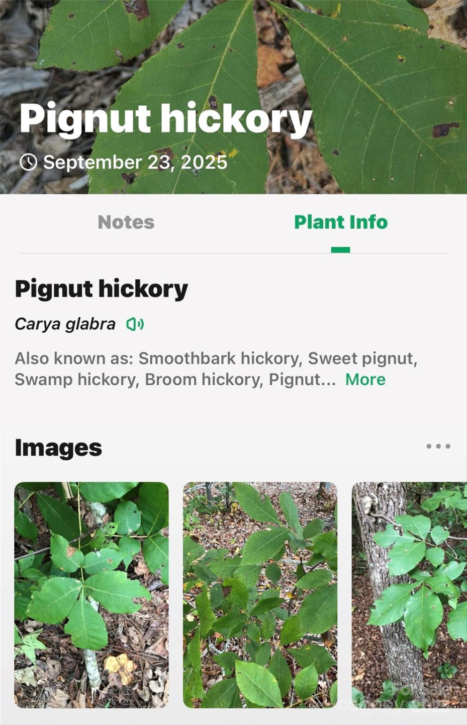 366 Boland Drive - Photo 42