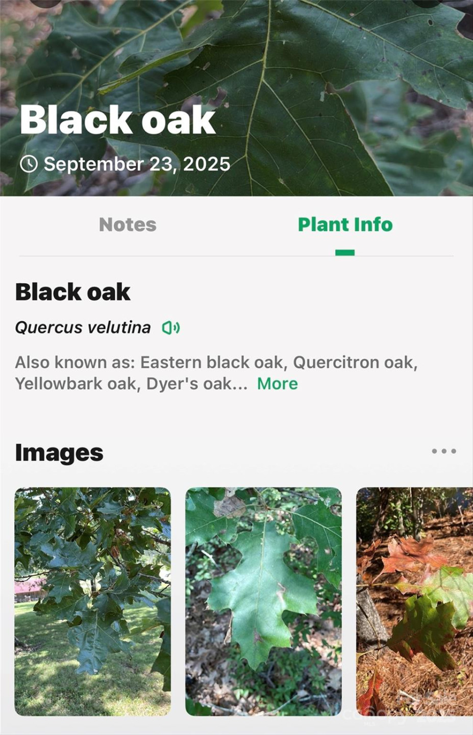 366 Boland Drive - Photo 43