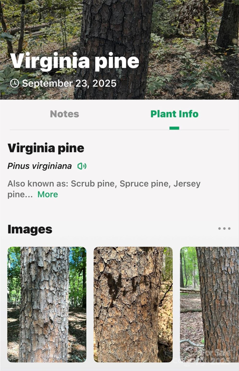 366 Boland Drive - Photo 44