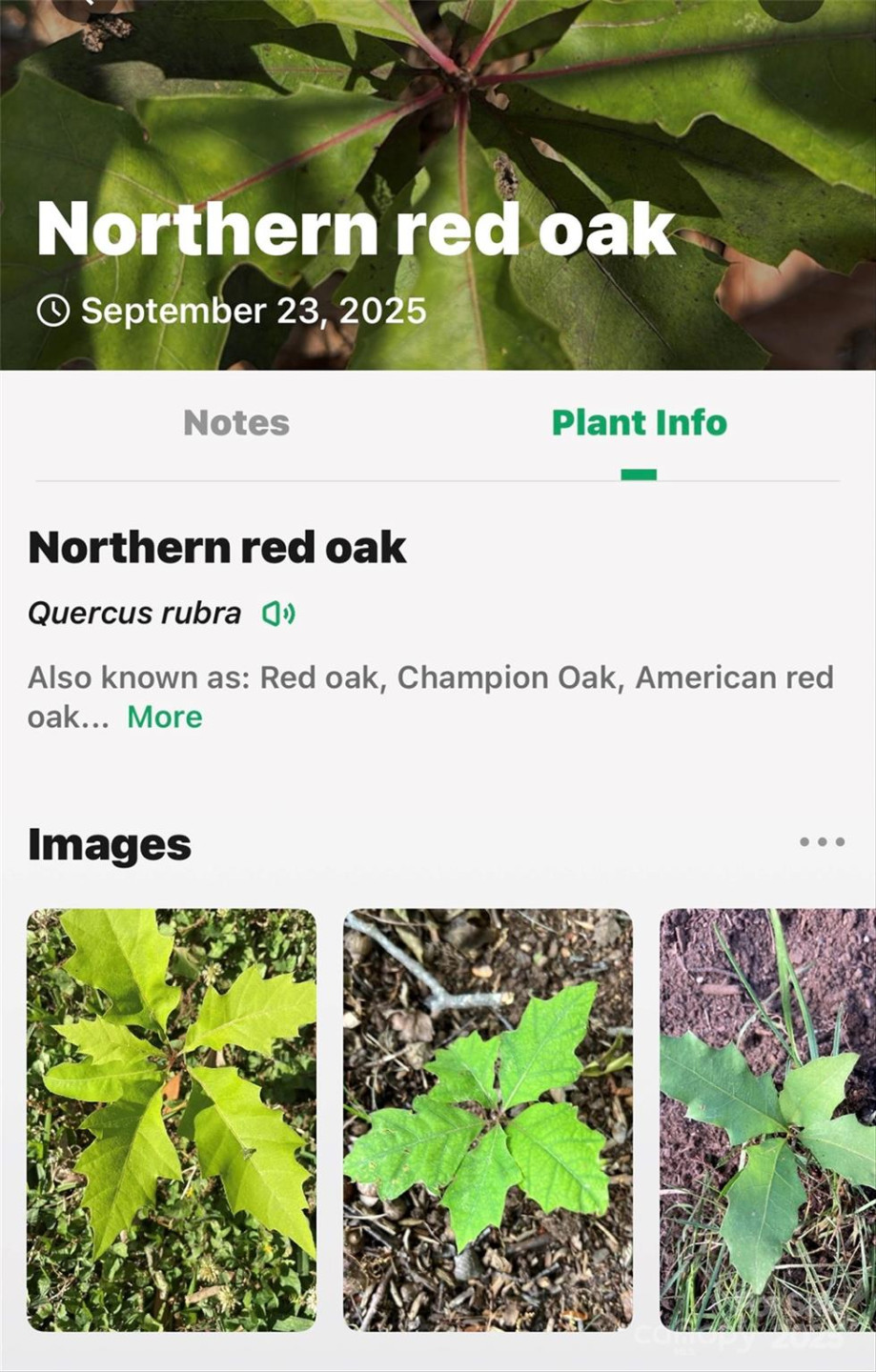 366 Boland Drive - Photo 45