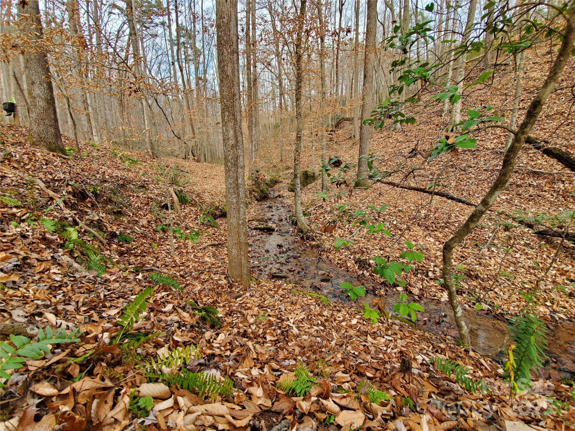 366 Boland Drive - Photo 8