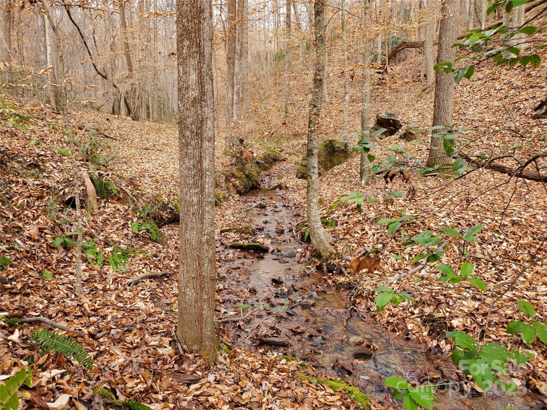 366 Boland Drive - Photo 9