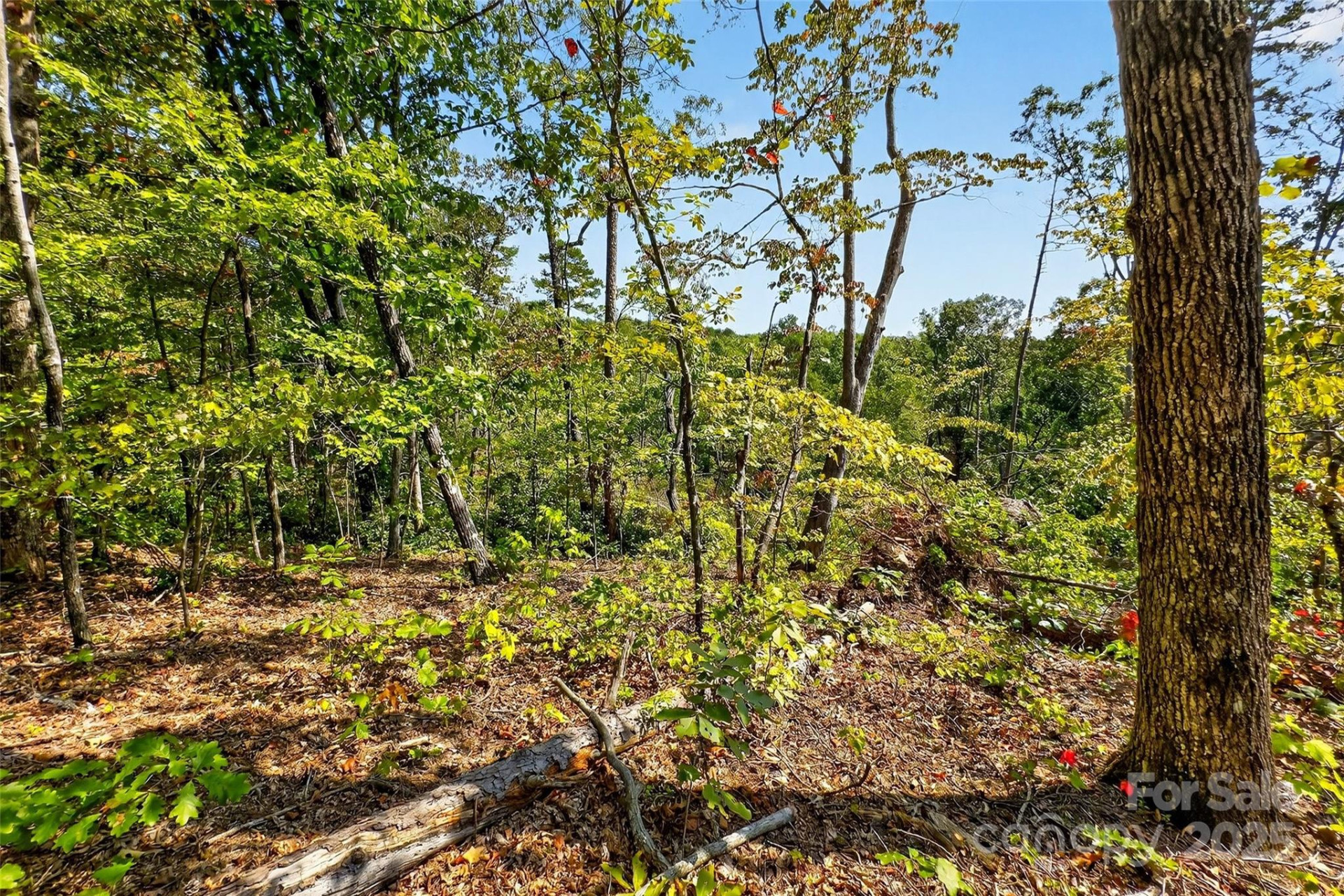 366 Boland Drive - Photo 10