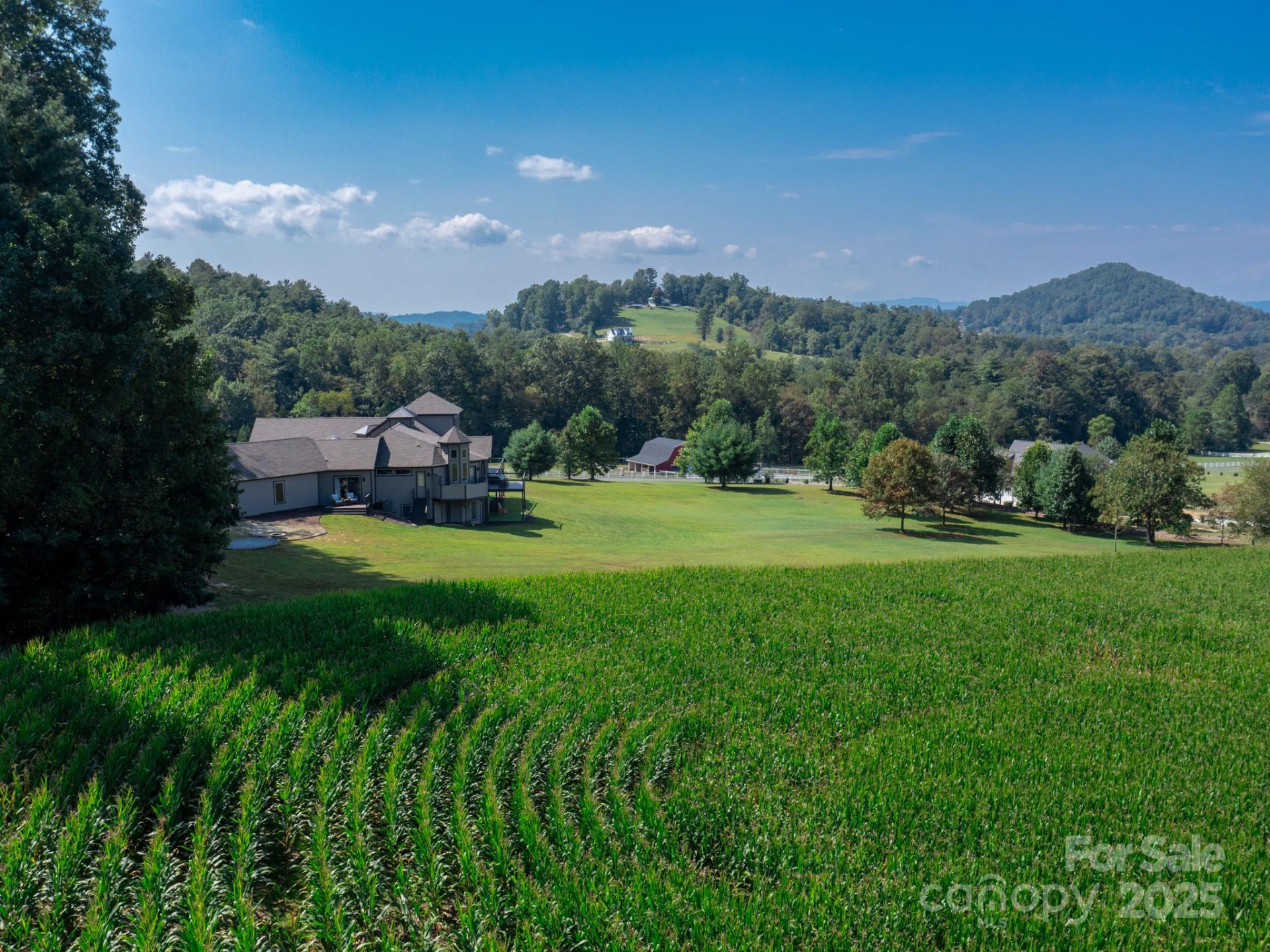 639 Byers Cove Road - Photo 5