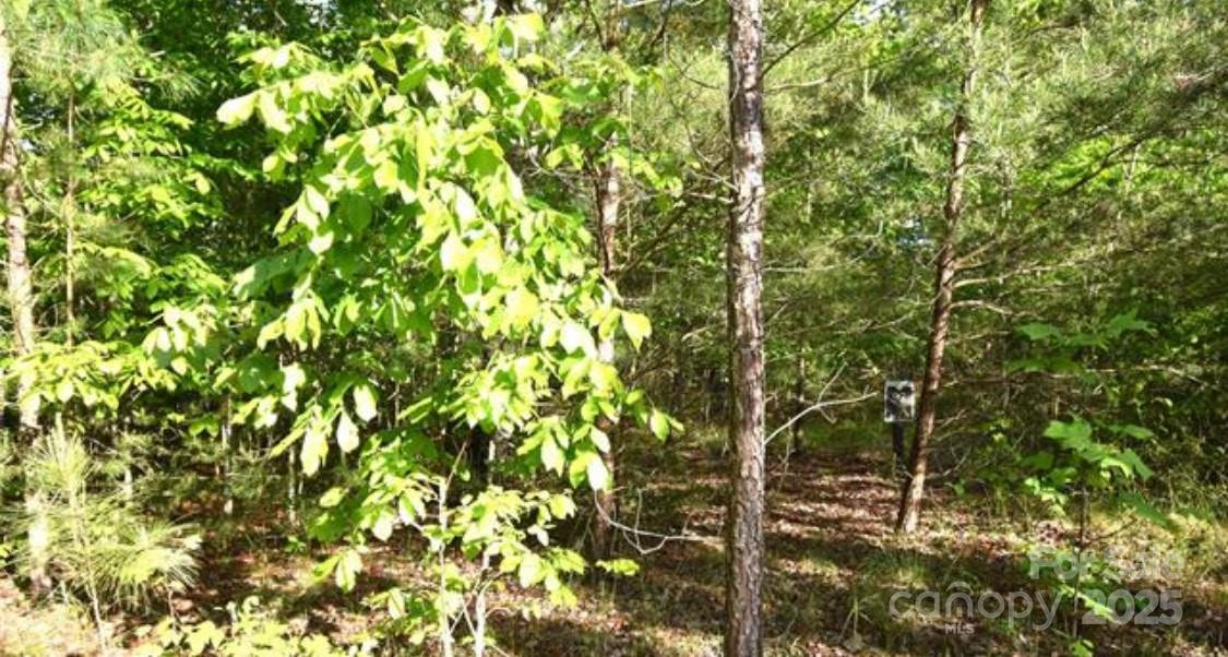 TBD Darrow Drive #LOT 90 - Photo 4