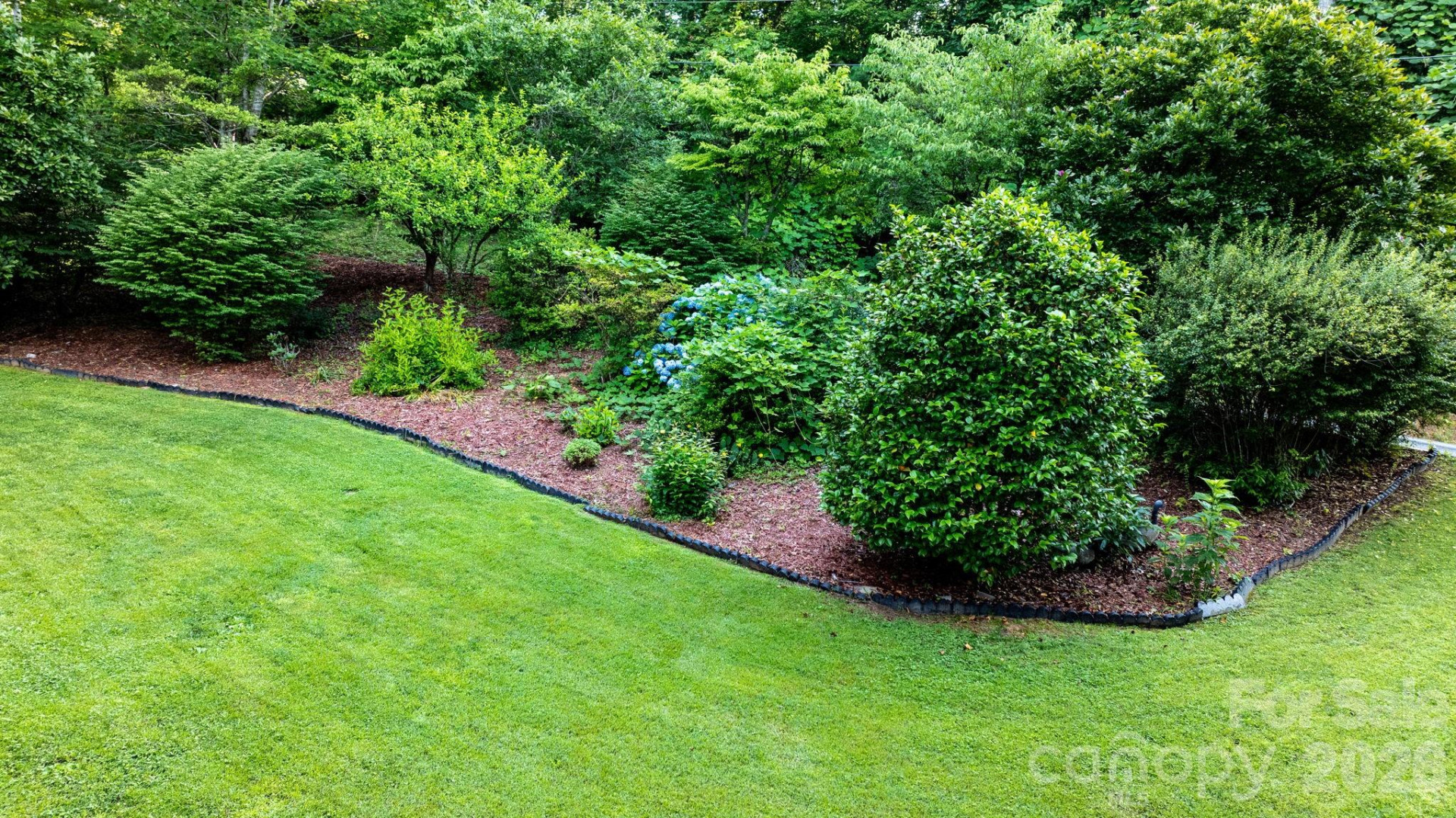 61 Honeycutt Lane - Photo 36