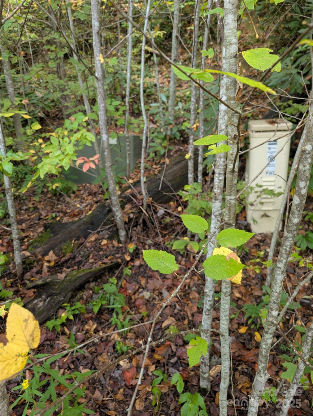 97 Settings Boulevard - Photo 11