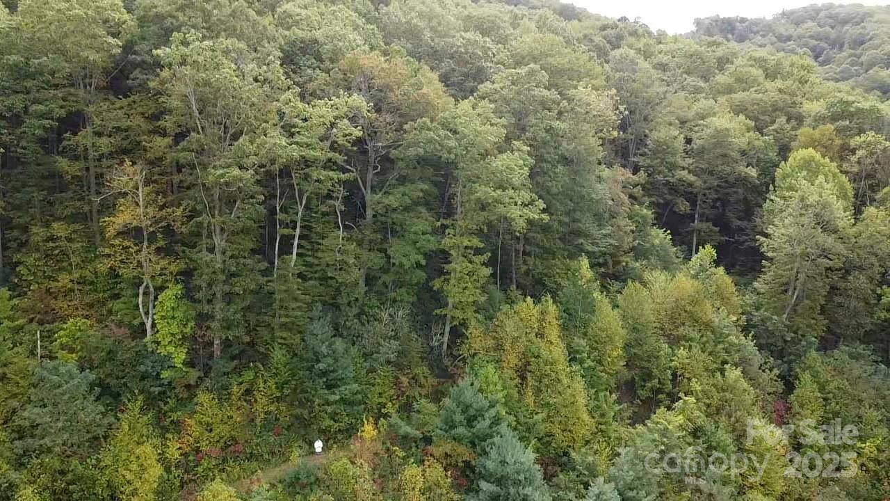 97 Settings Boulevard - Photo 5