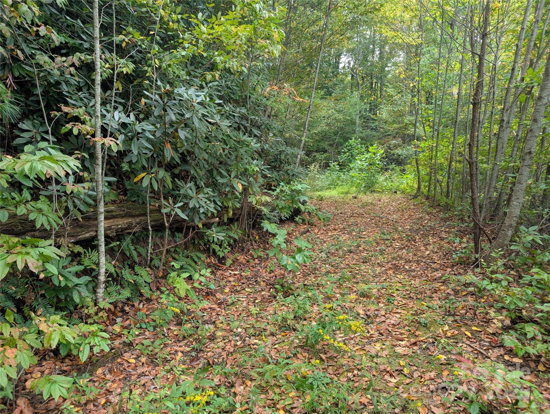 97 Settings Boulevard - Photo 7