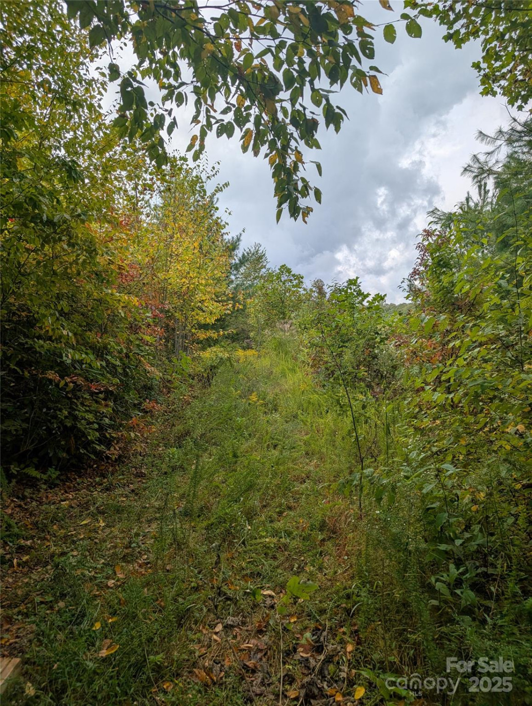 97 Settings Boulevard - Photo 8