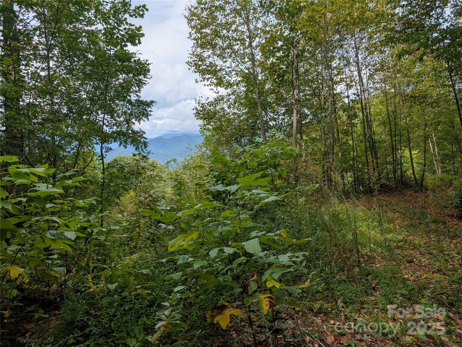 97 Settings Boulevard - Photo 9