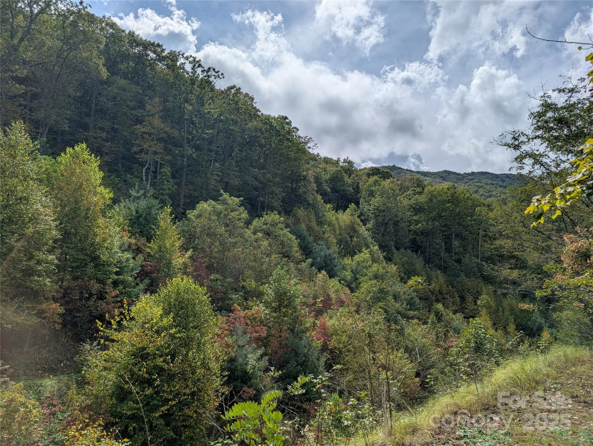 97 Settings Boulevard - Photo 10