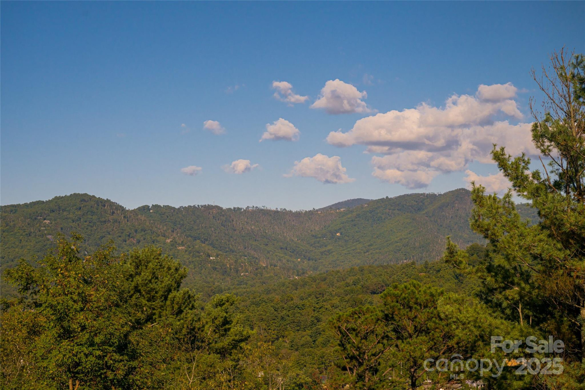 79 Horizon Hill Road - Photo 4