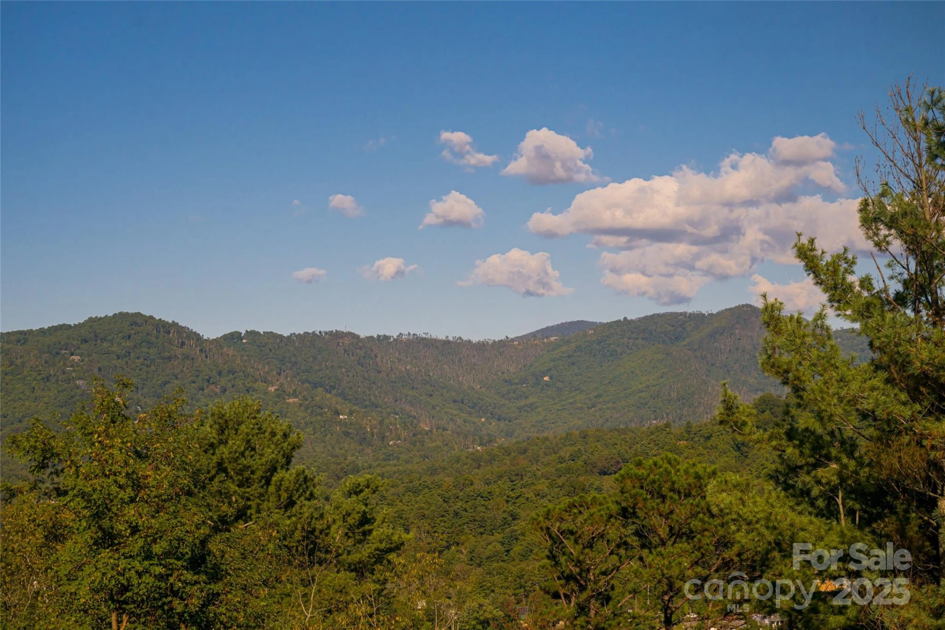 79 Horizon Hill Road - Photo 4