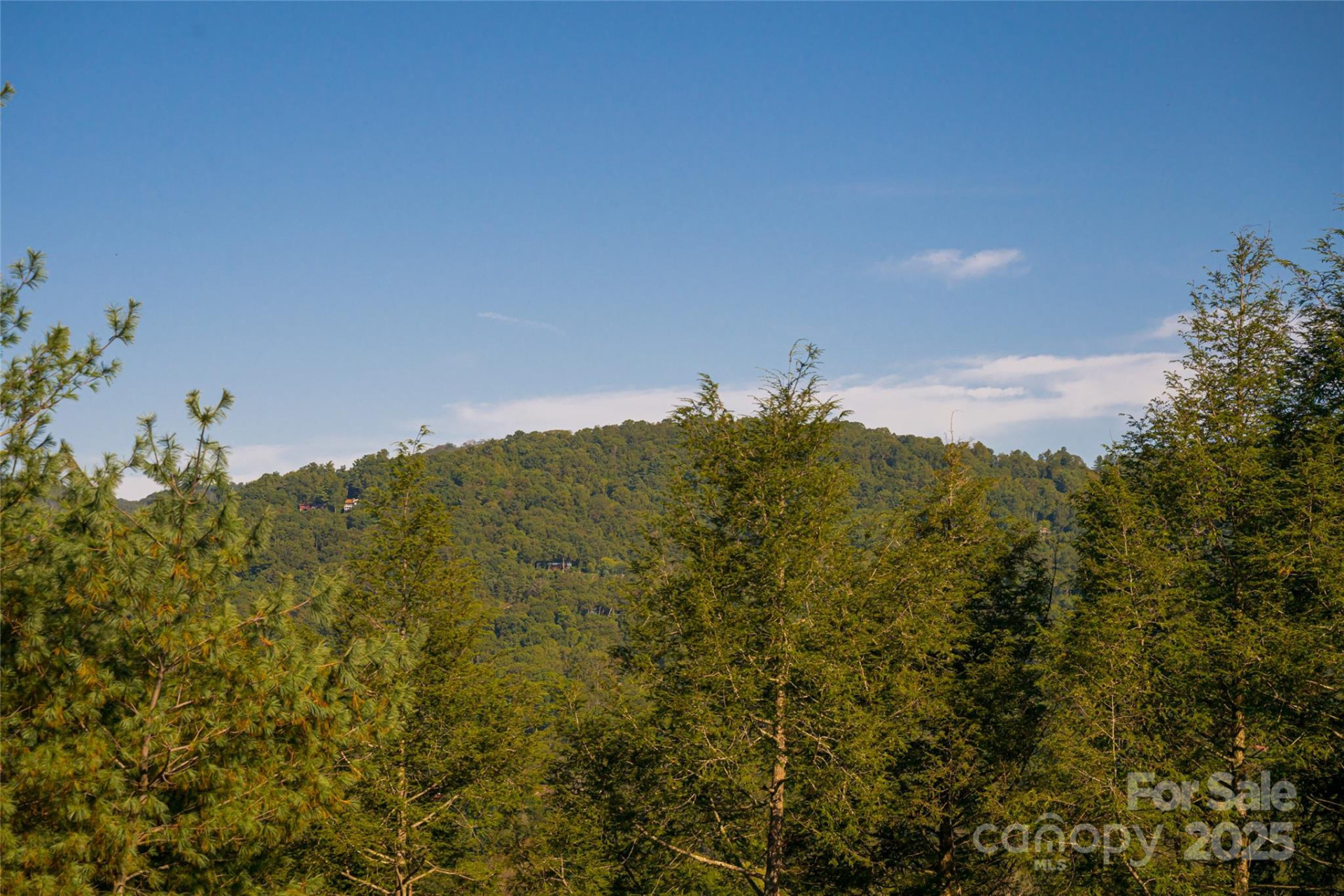 79 Horizon Hill Road - Photo 38