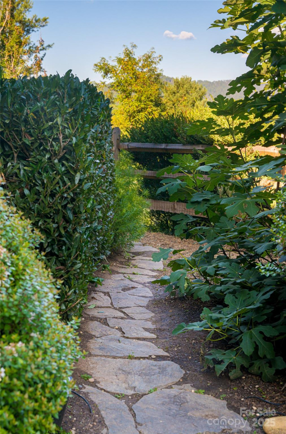 79 Horizon Hill Road - Photo 48