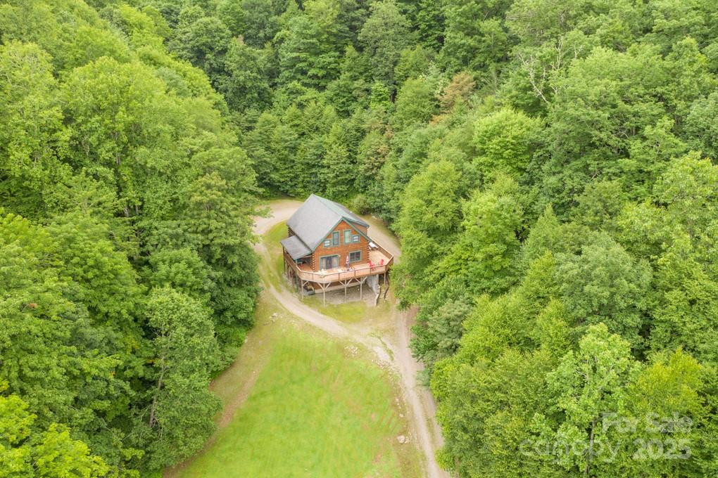 8020 Meadow Fork Road - Photo 2