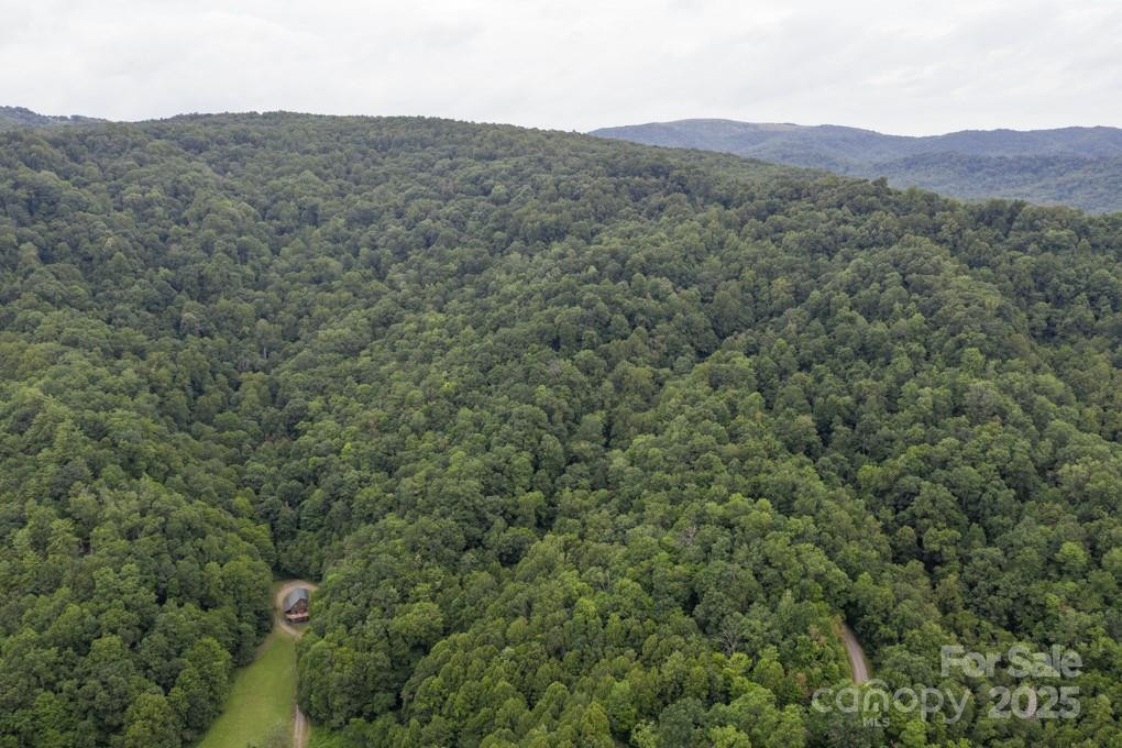 8020 Meadow Fork Road - Photo 6