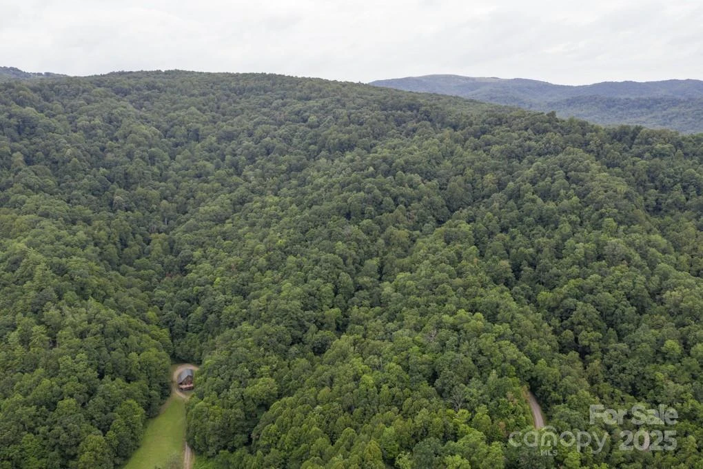 8020 Meadow Fork Road - Photo 6