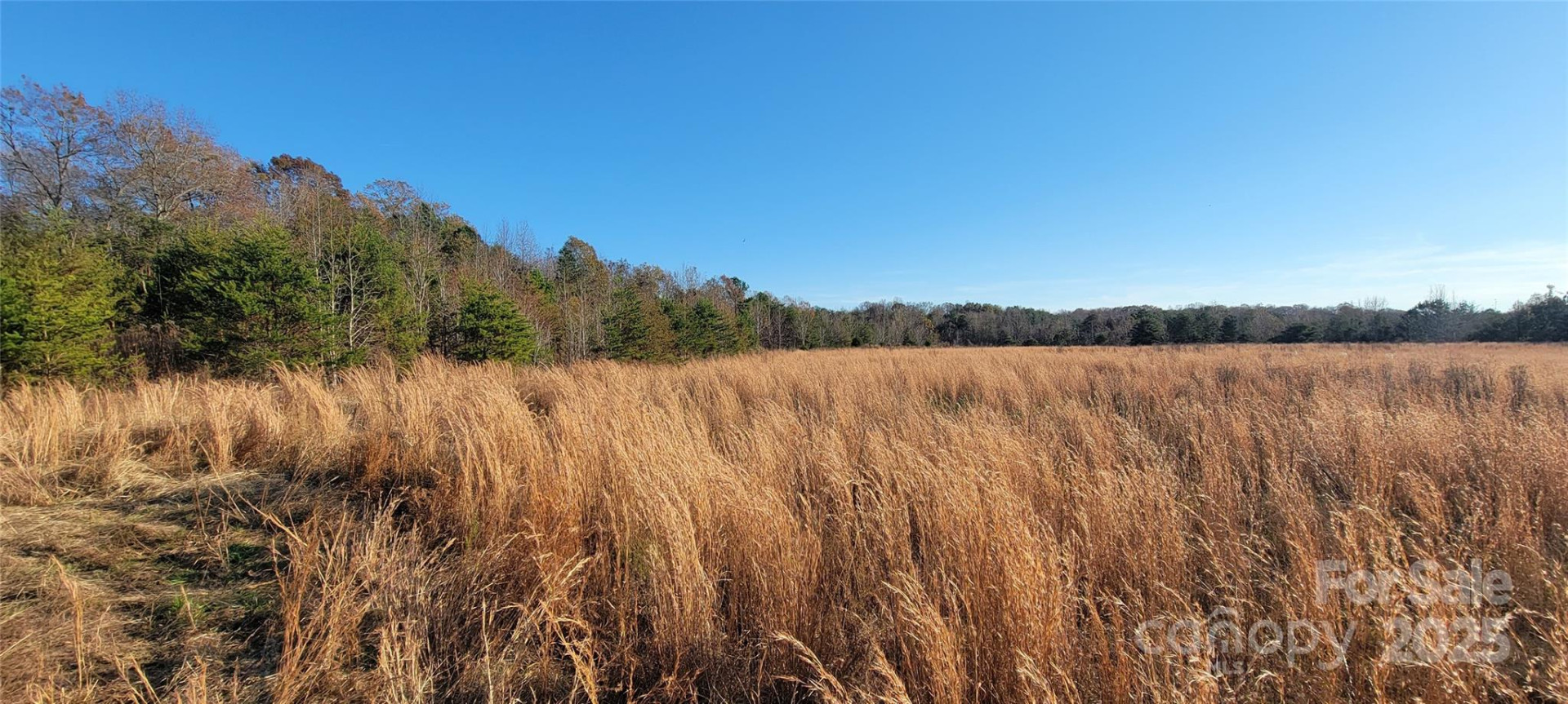 99999 Weaver Street - Photo 2