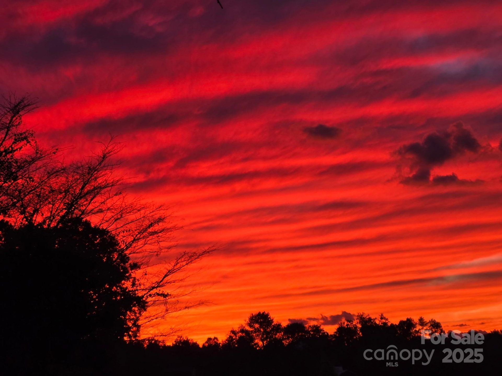 12 Timbers Edge Lane - Photo 34