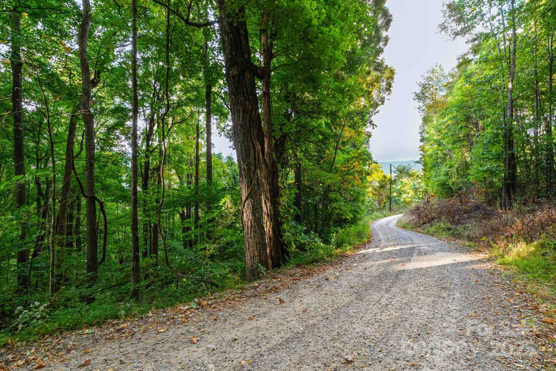 TBD Springbrook Farm Road