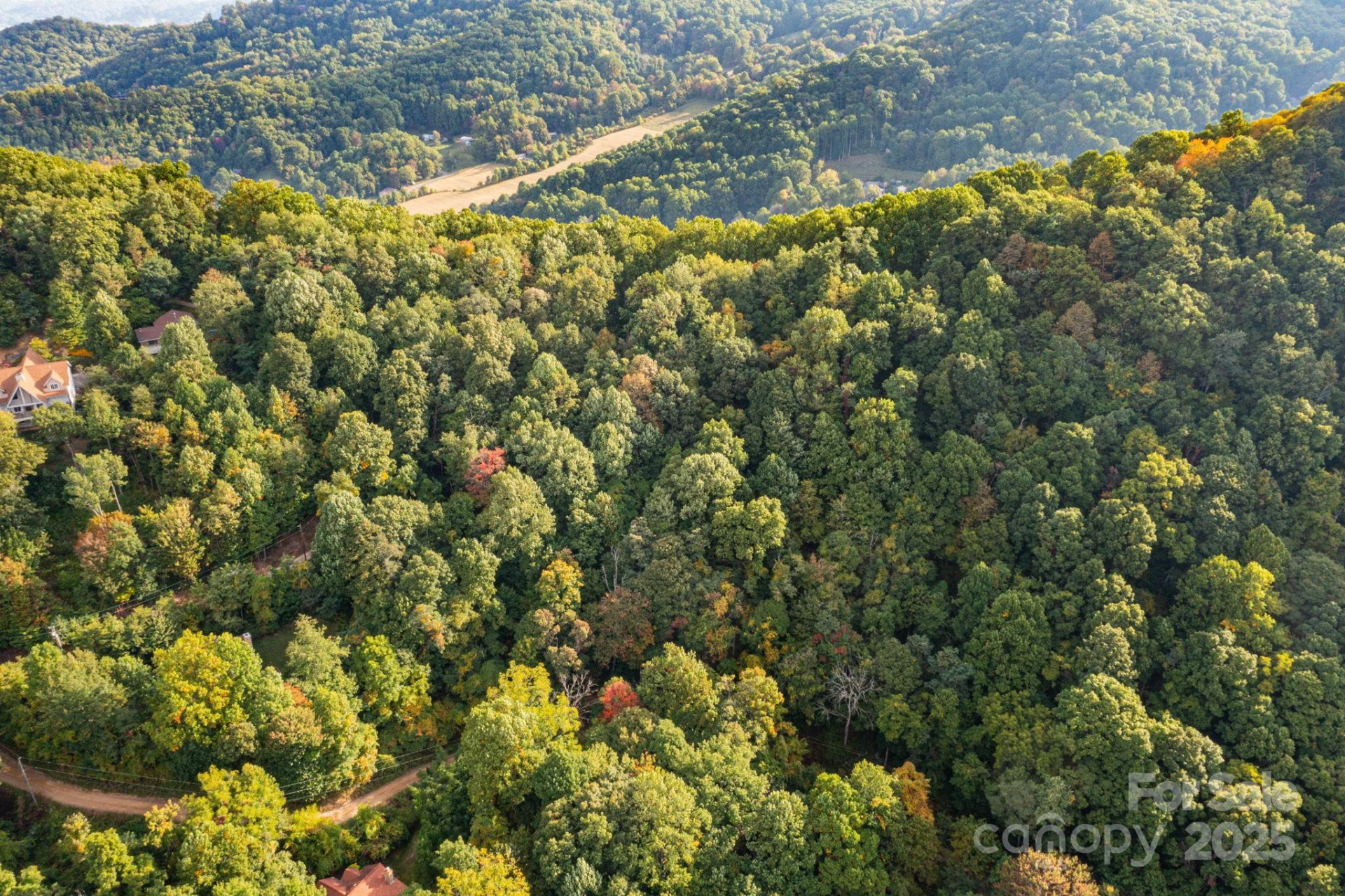 TBD Springbrook Farm Road - Photo 11