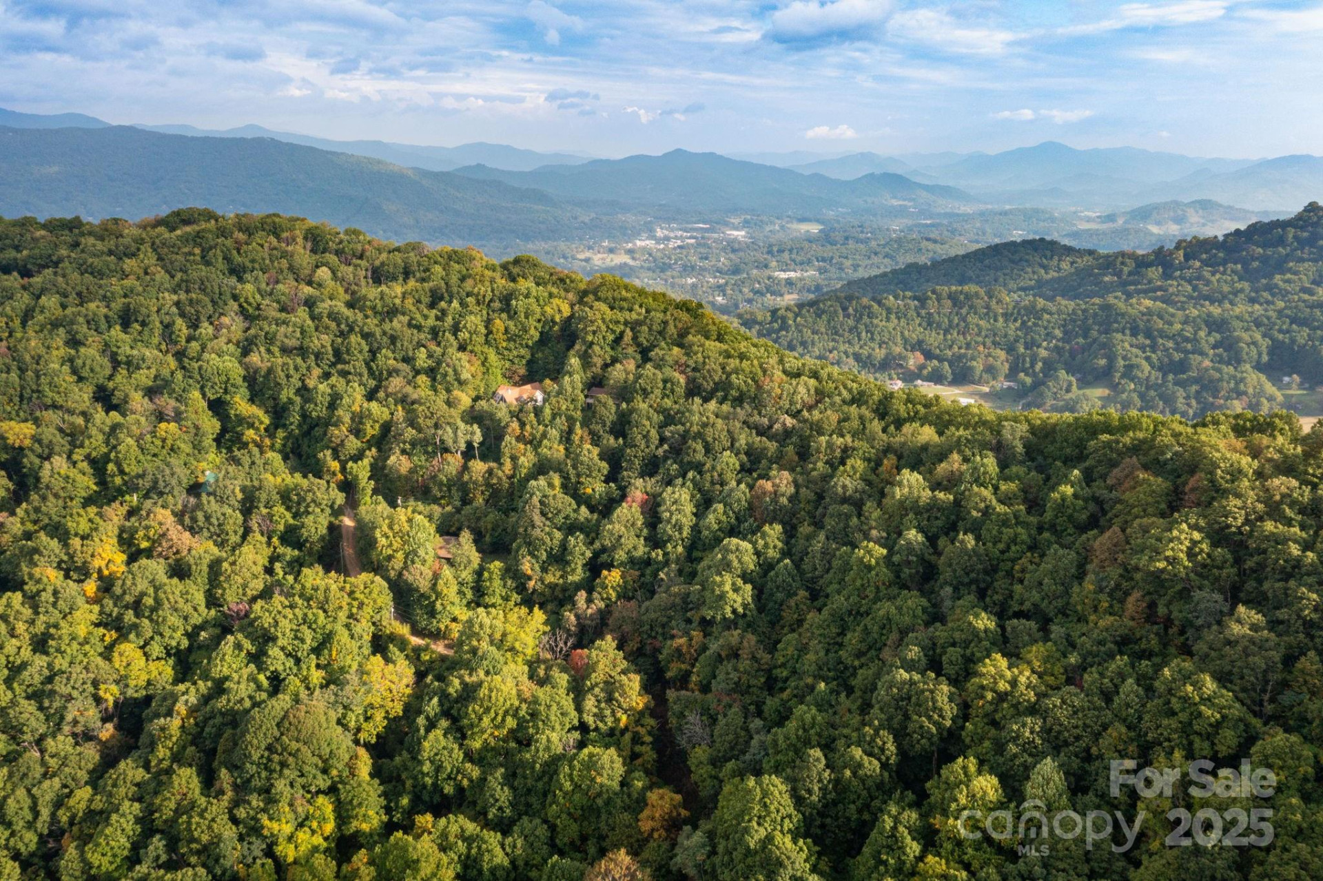 TBD Springbrook Farm Road - Photo 13