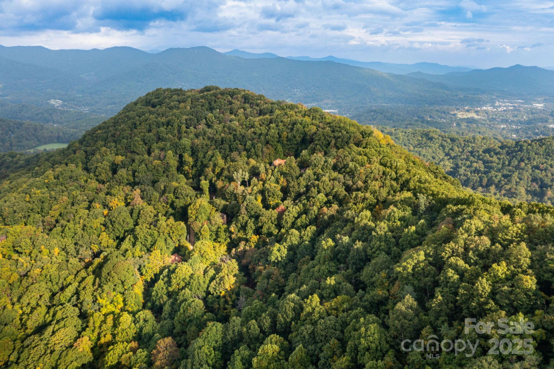 TBD Springbrook Farm Road - Photo 15