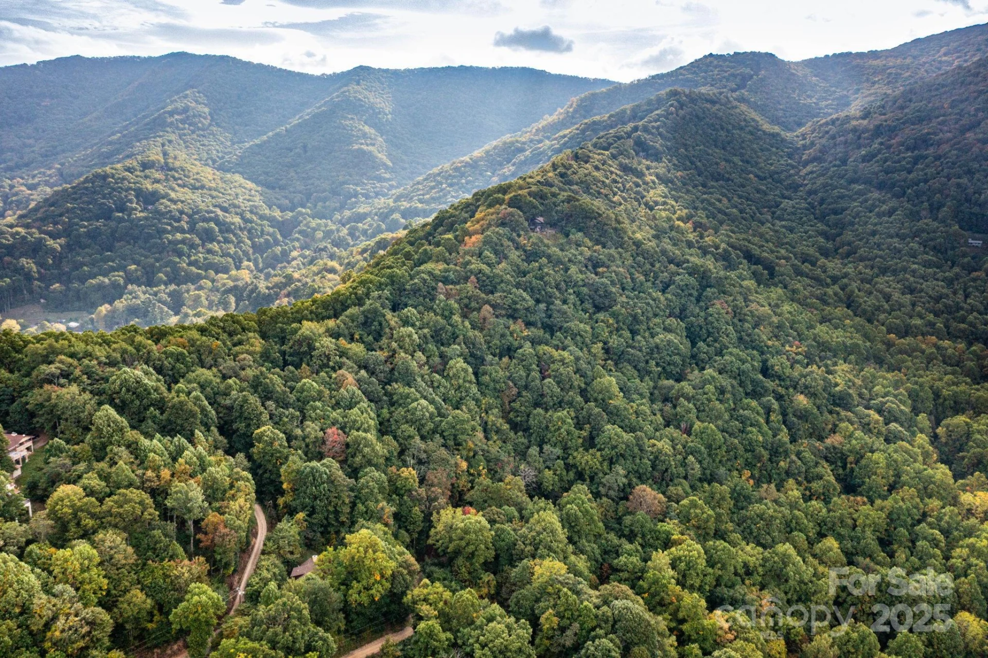TBD Springbrook Farm Road - Photo 17