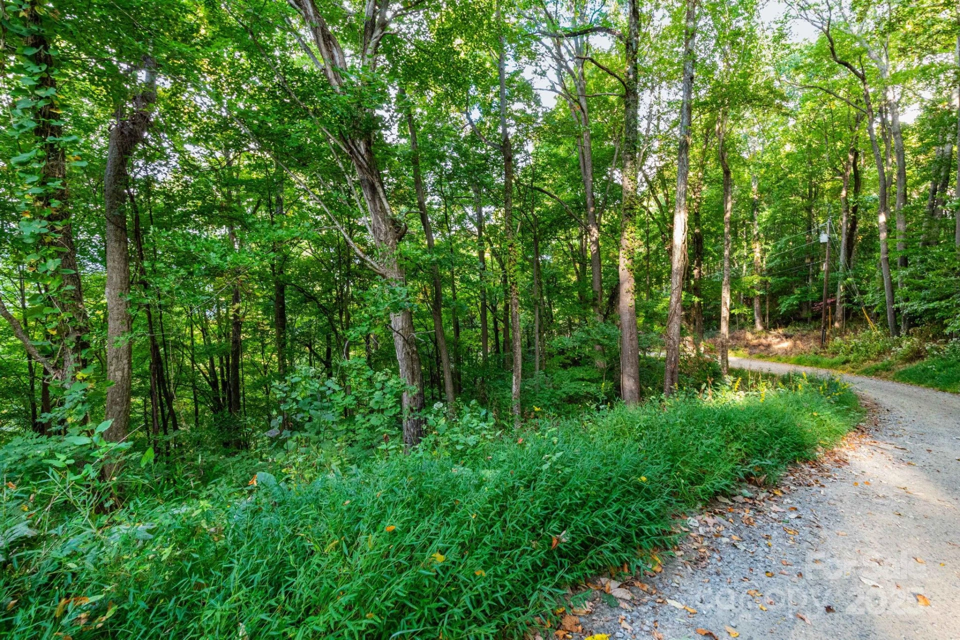 TBD Springbrook Farm Road - Photo 4