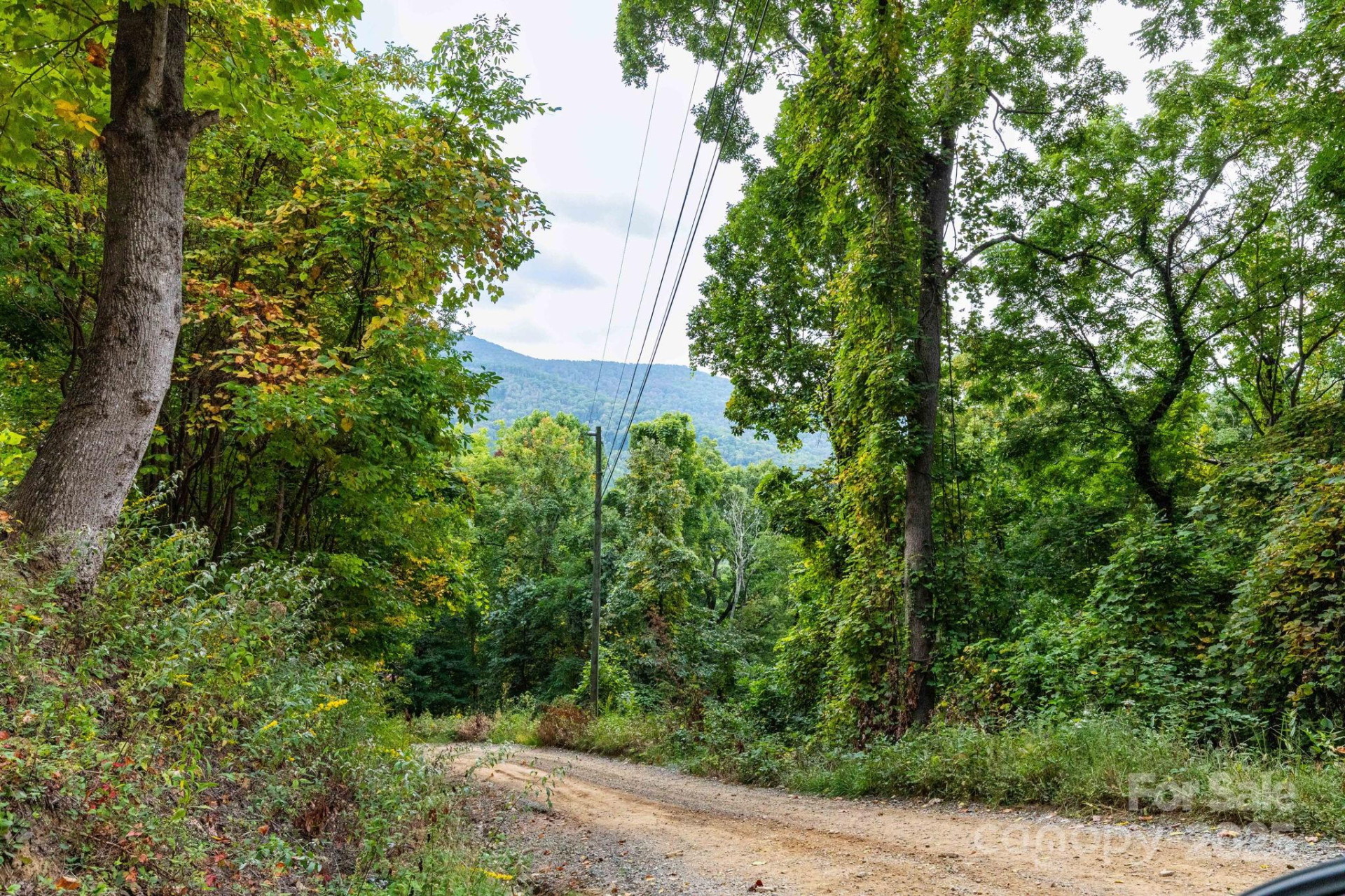 TBD Springbrook Farm Road - Photo 5