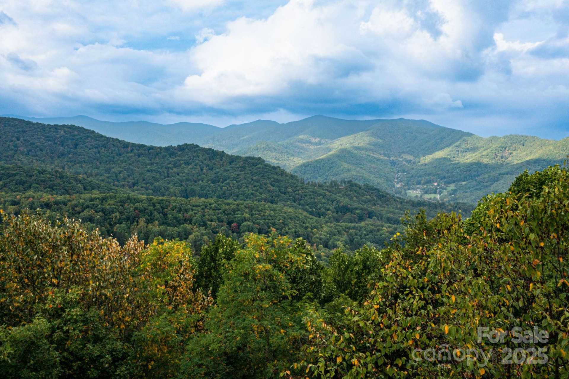TBD Springbrook Farm Road - Photo 7