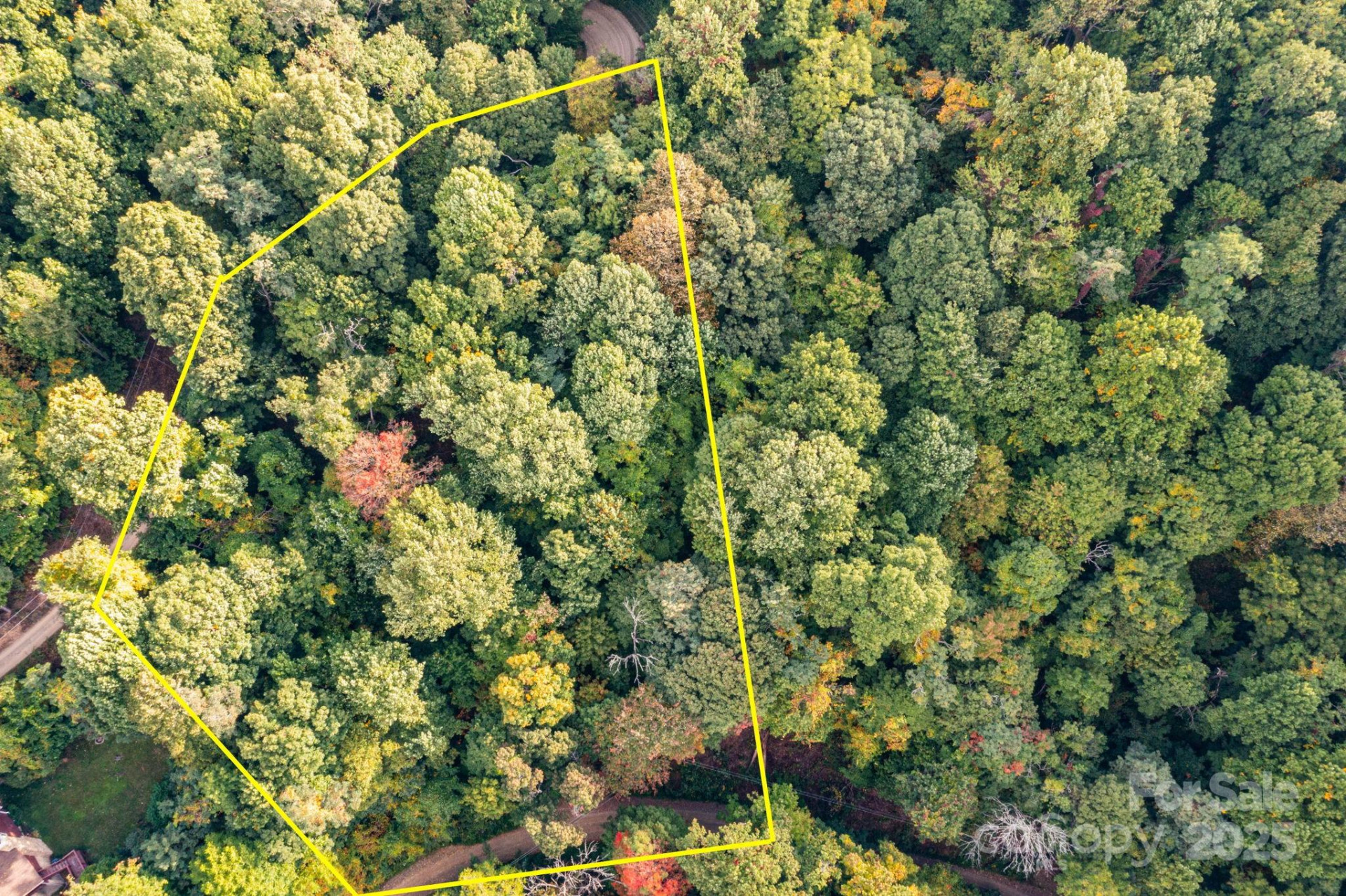 TBD Springbrook Farm Road - Photo 8