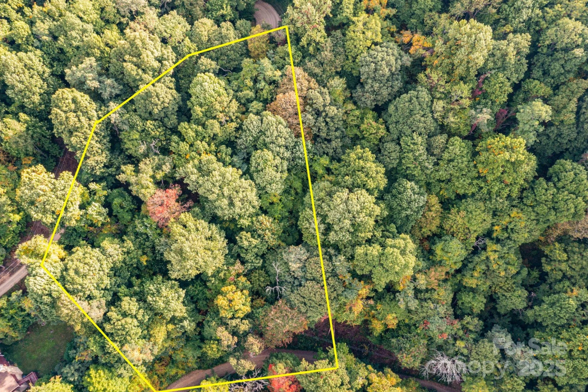 TBD Springbrook Farm Road - Photo 8