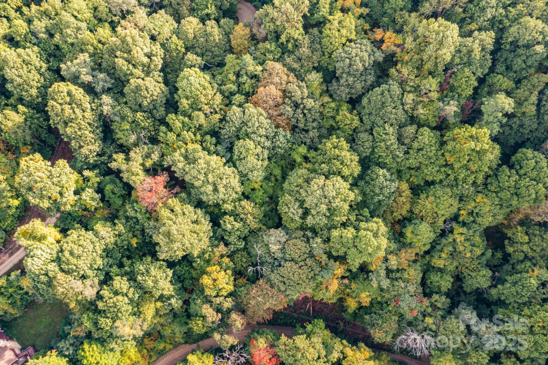 TBD Springbrook Farm Road - Photo 9