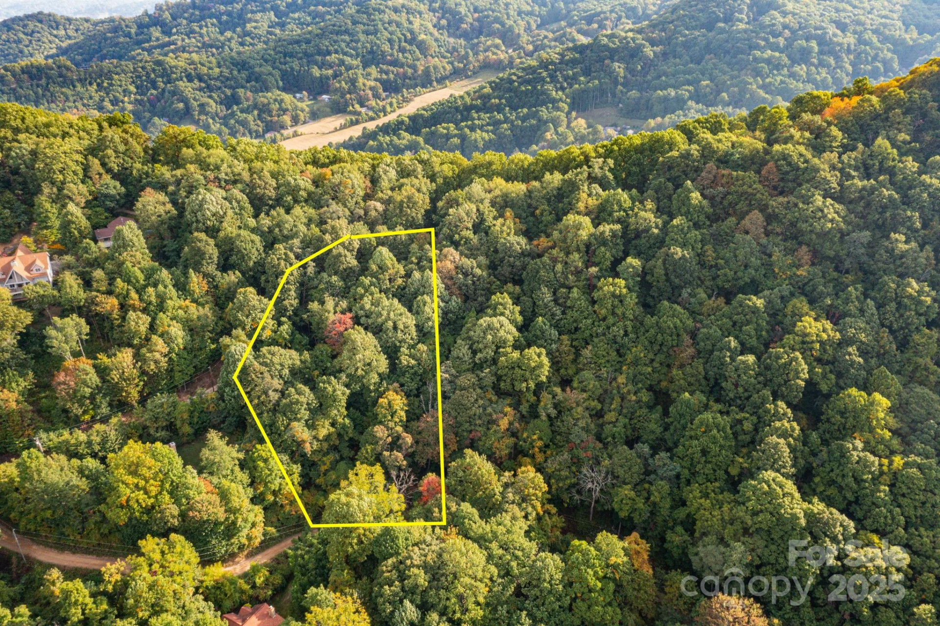 TBD Springbrook Farm Road - Photo 10