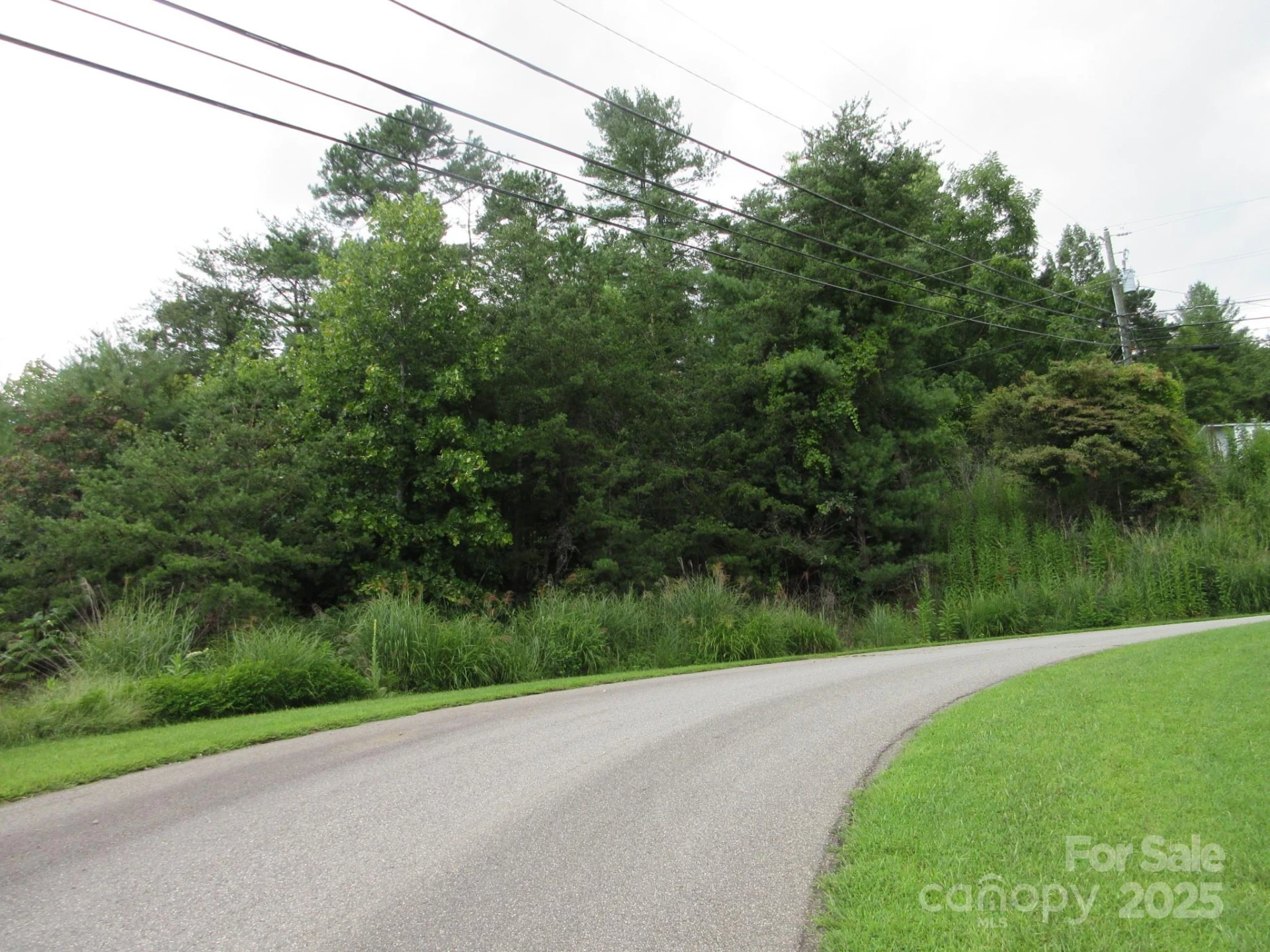 0 Old Burnsville Road - Photo 2