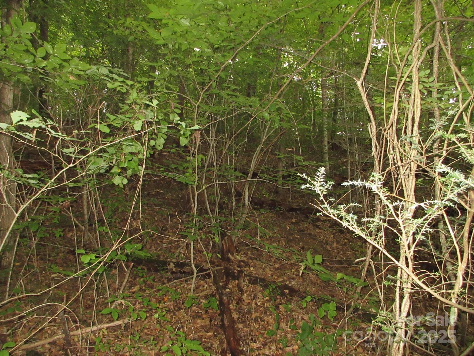 0 Old Burnsville Road - Photo 12