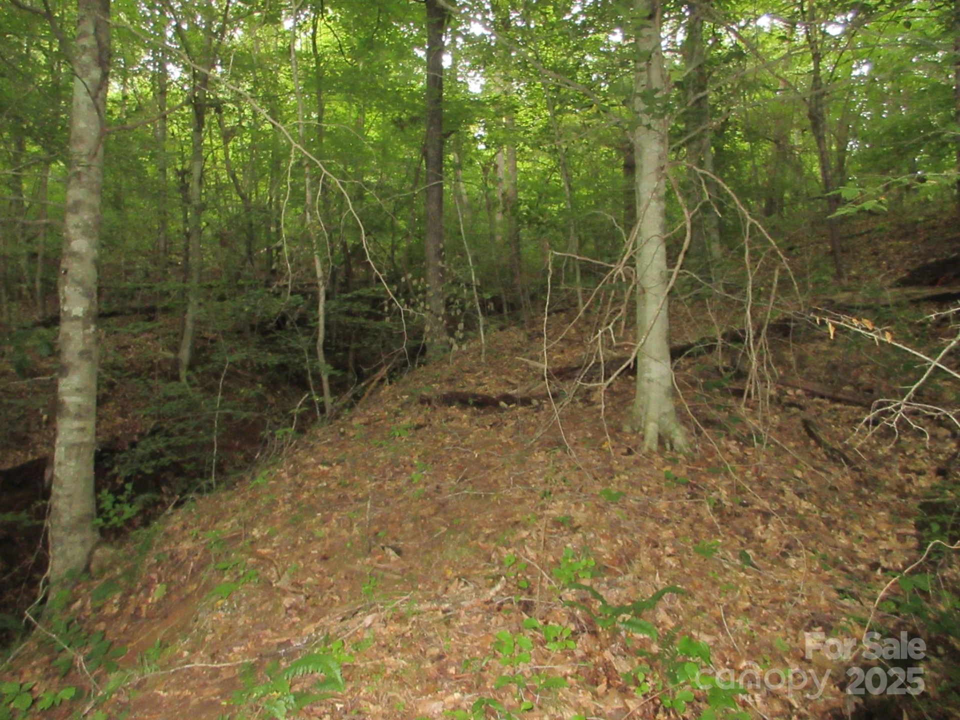 0 Old Burnsville Road - Photo 13