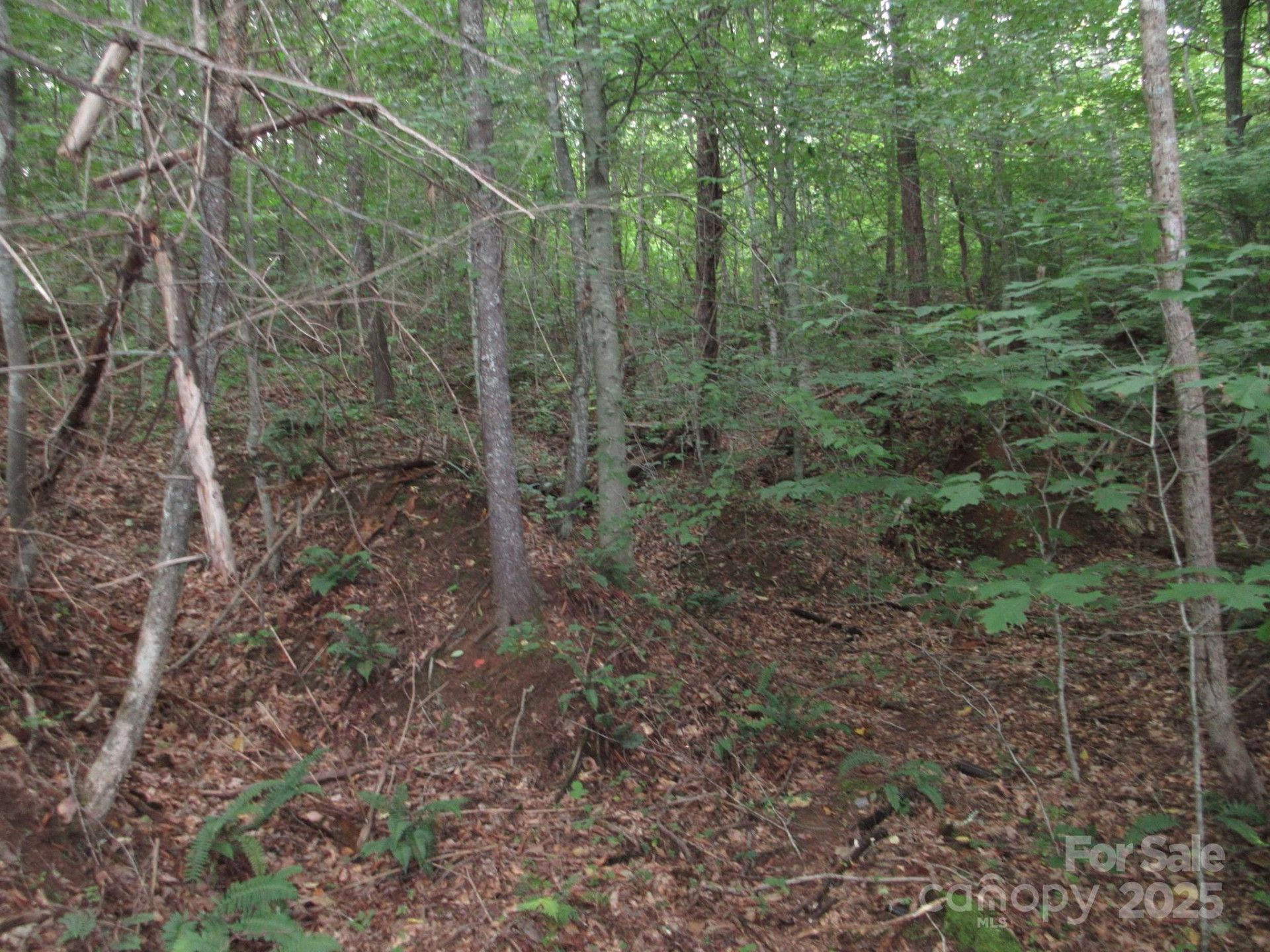 0 Old Burnsville Road - Photo 14