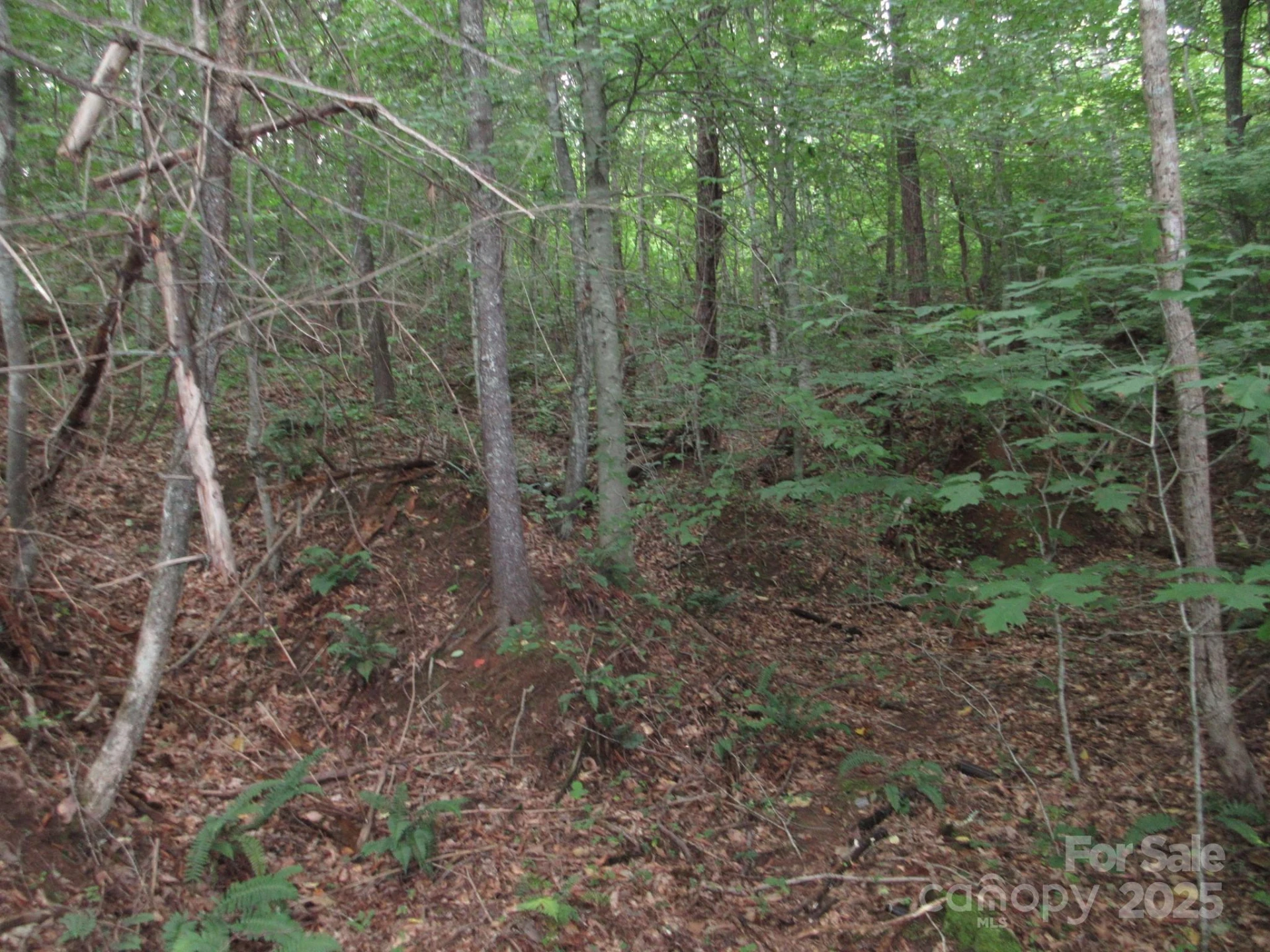 0 Old Burnsville Road - Photo 14
